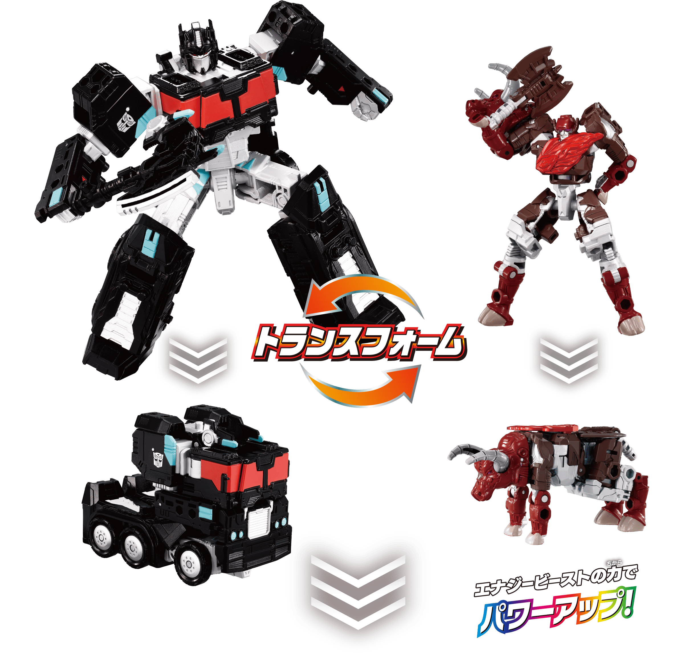 トランスフォーム