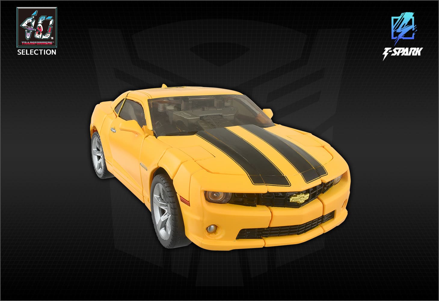 40TH SELECTION バンブルビー