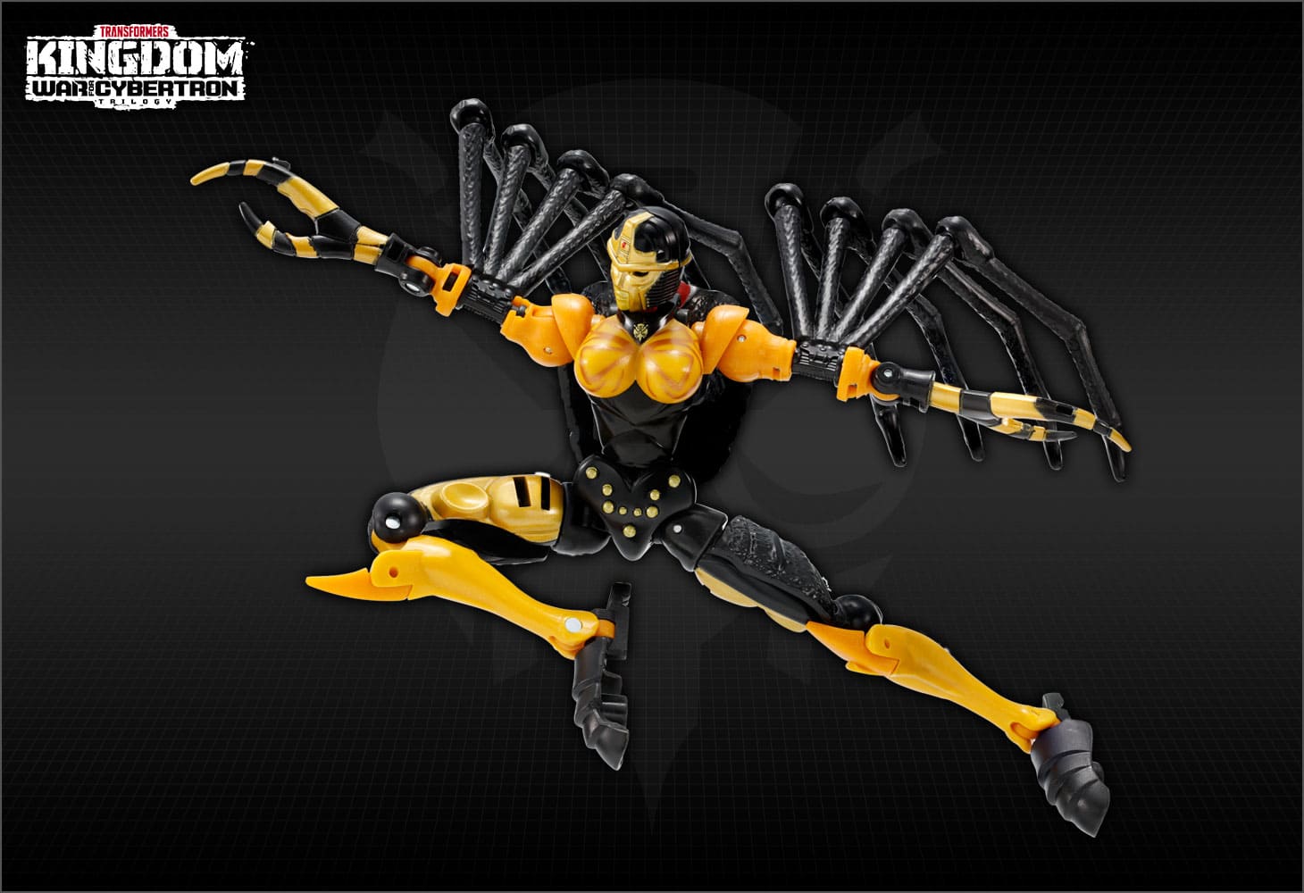 KD-05 ブラックアラクニア