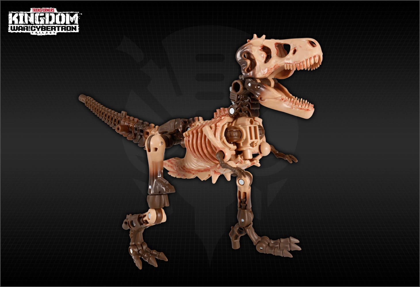 【国内：タカラトミーモール限定】KD EX-01 パレオトレックス