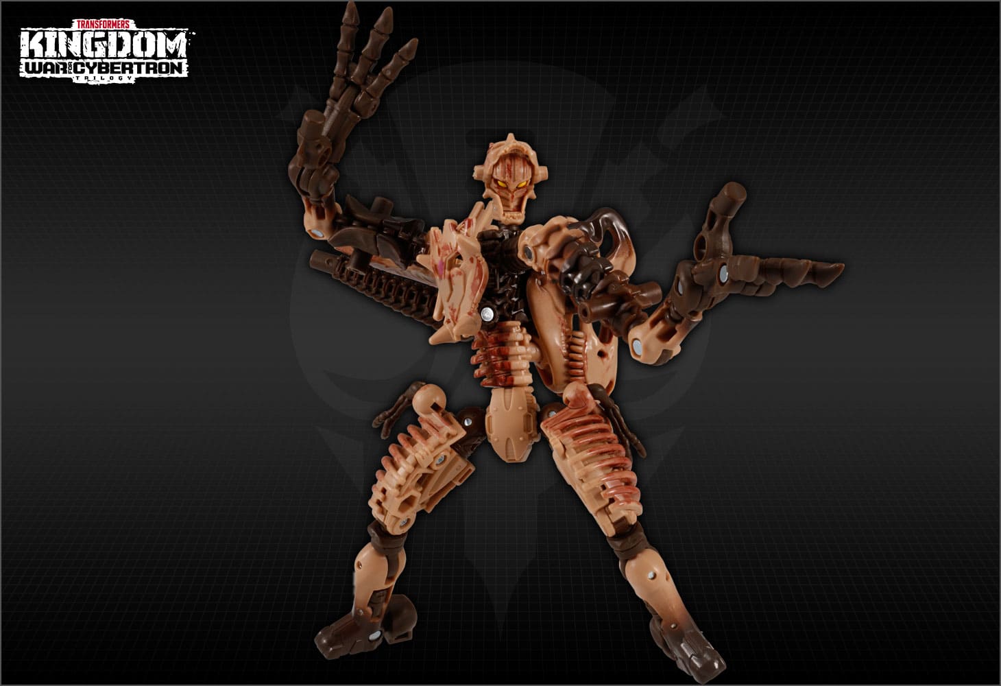 【国内：タカラトミーモール限定】KD EX-01 パレオトレックス