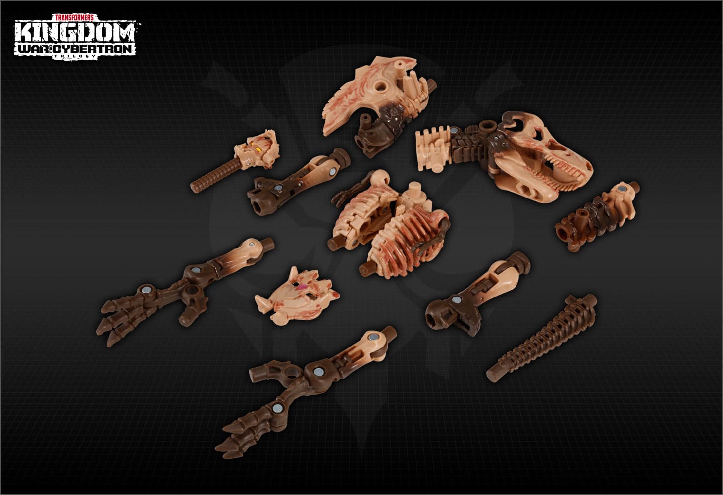 【国内：タカラトミーモール限定】KD EX-01 パレオトレックス