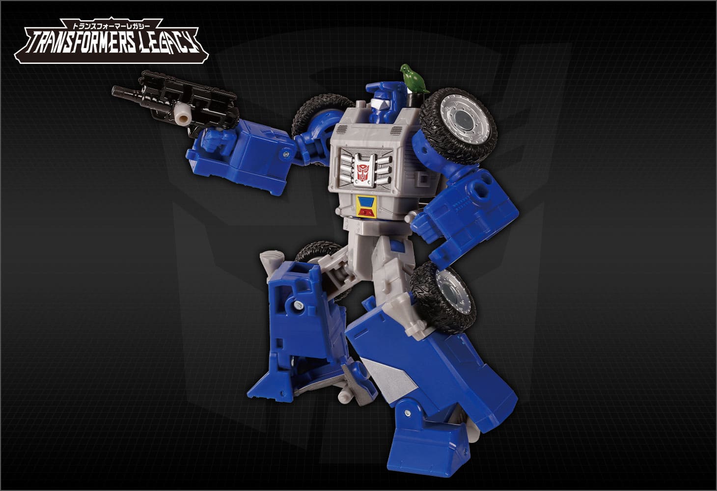 TL-43 ビーチコンバー＆パラダイスパラキート