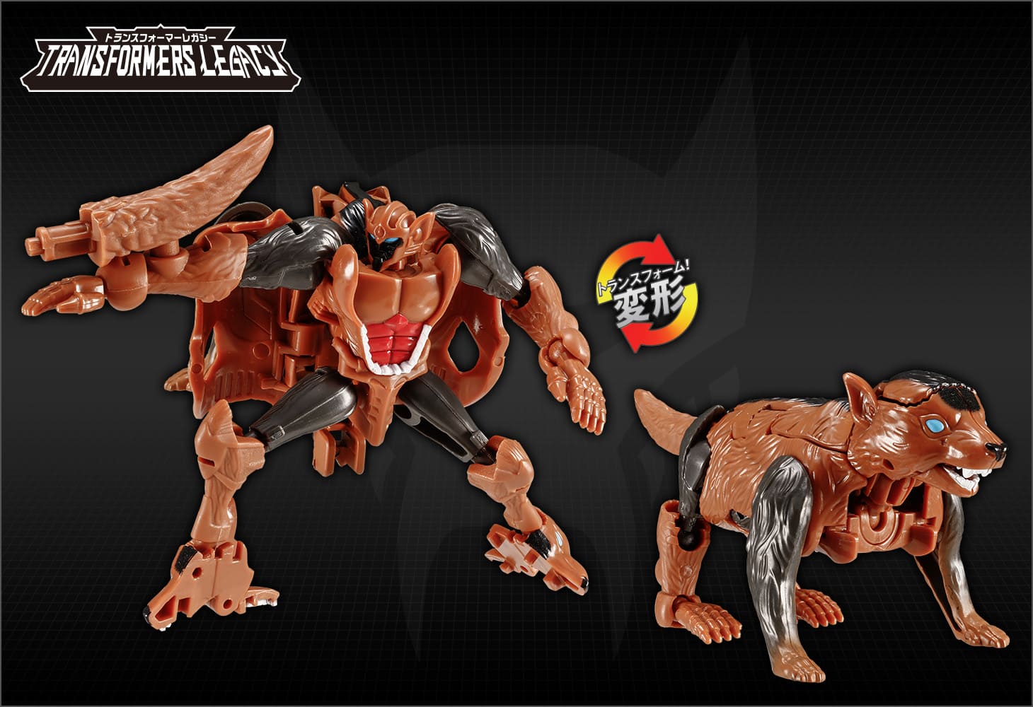 TL-61 タスマニアキッド