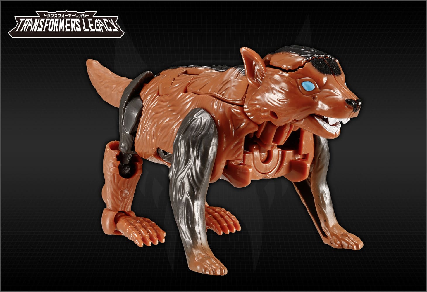 TL-61 タスマニアキッド