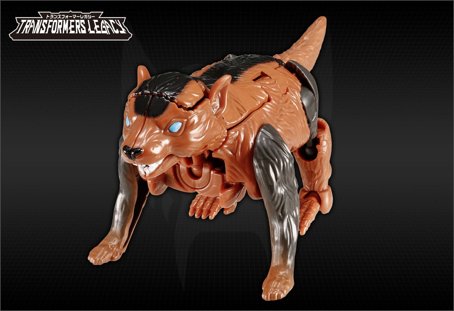 TL-61 タスマニアキッド