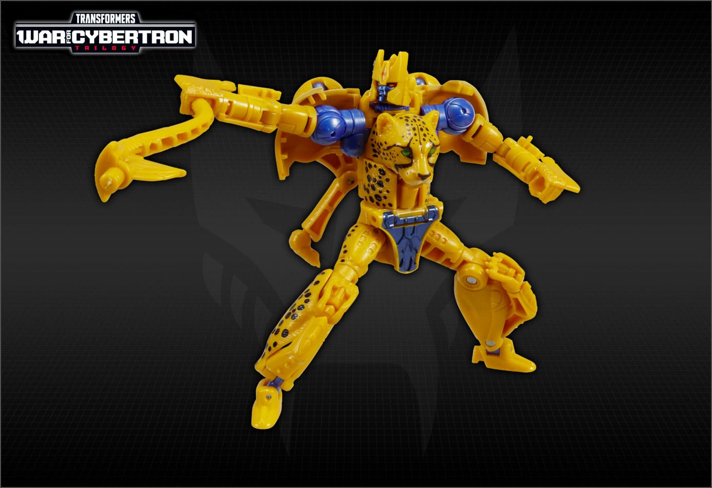 WFC-18　チーター