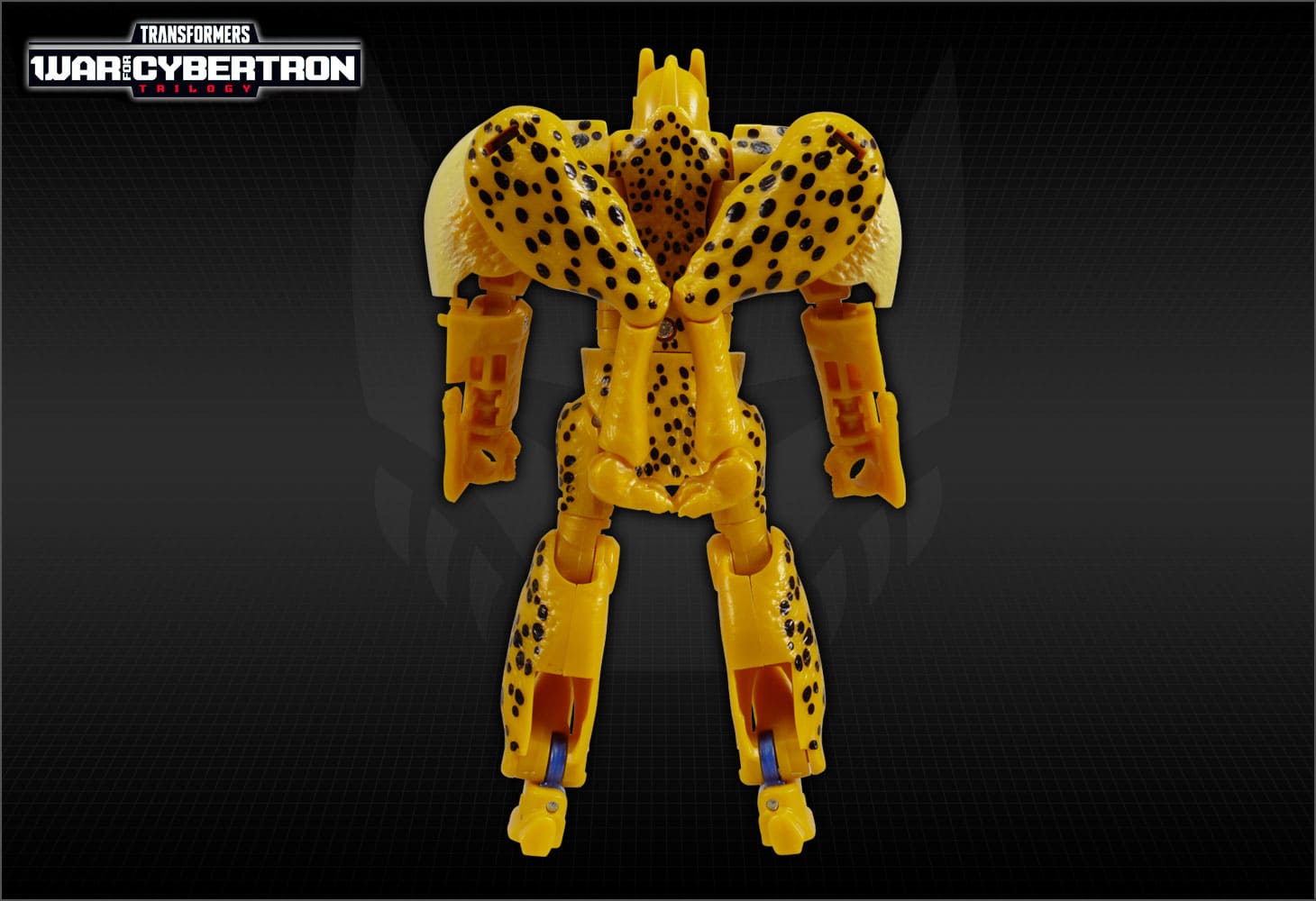 WFC-18　チーター