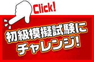 初級模擬試験にチャレンジ!